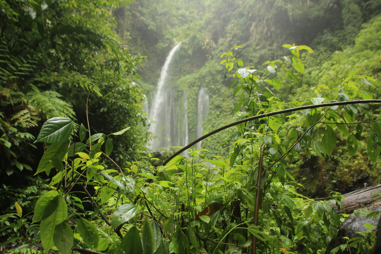 Líderes exploran desafíos de conservación en Cerro Poqui