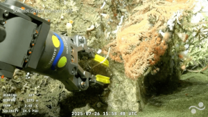 794-3-CIENCIA_robot submarino_Captura de pantalla _ AFP-min