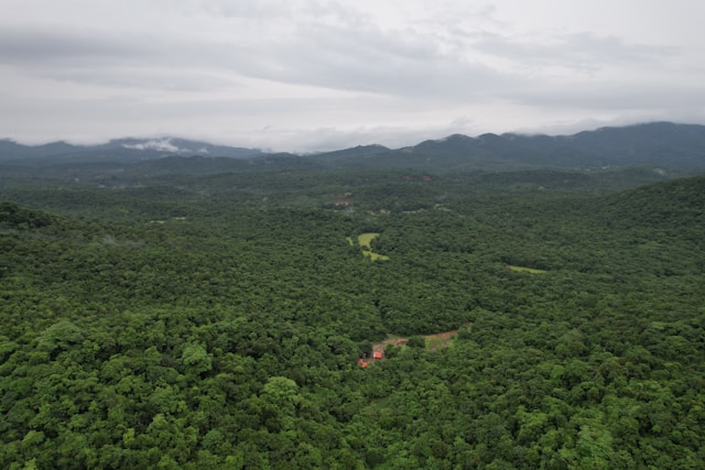 El Yunque lanza programa para proteger cuencas hidrográficas