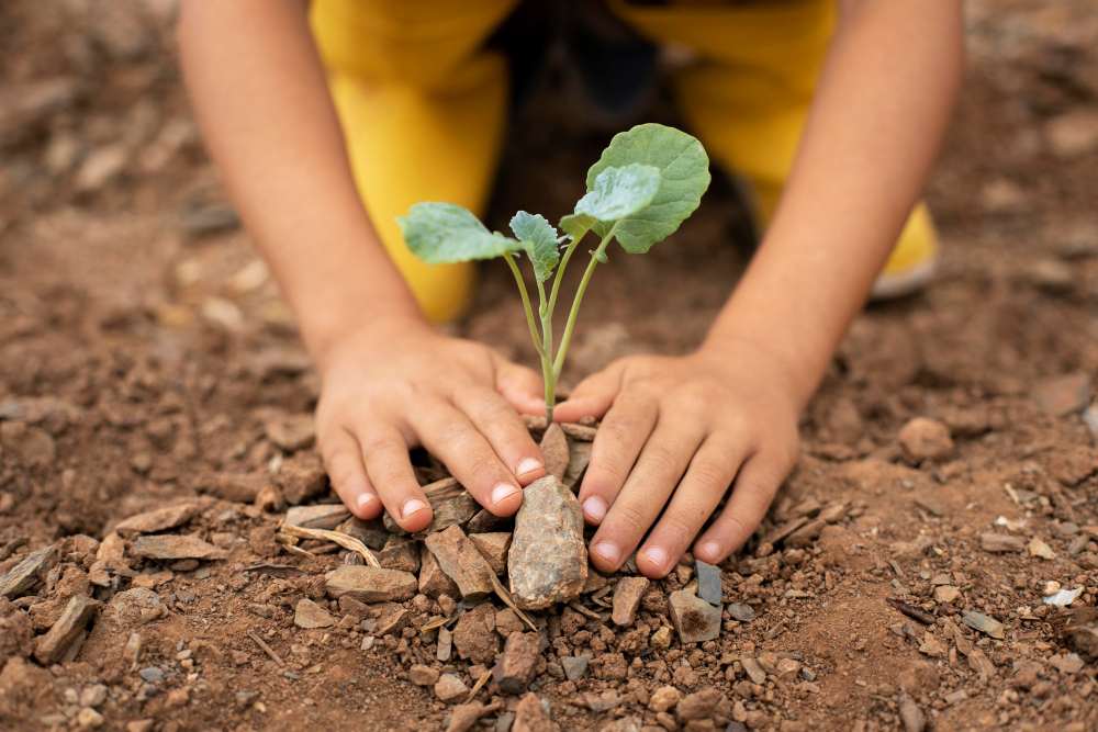 Ecoescuelas en Honduras transforman la educación con proyectos sostenibles