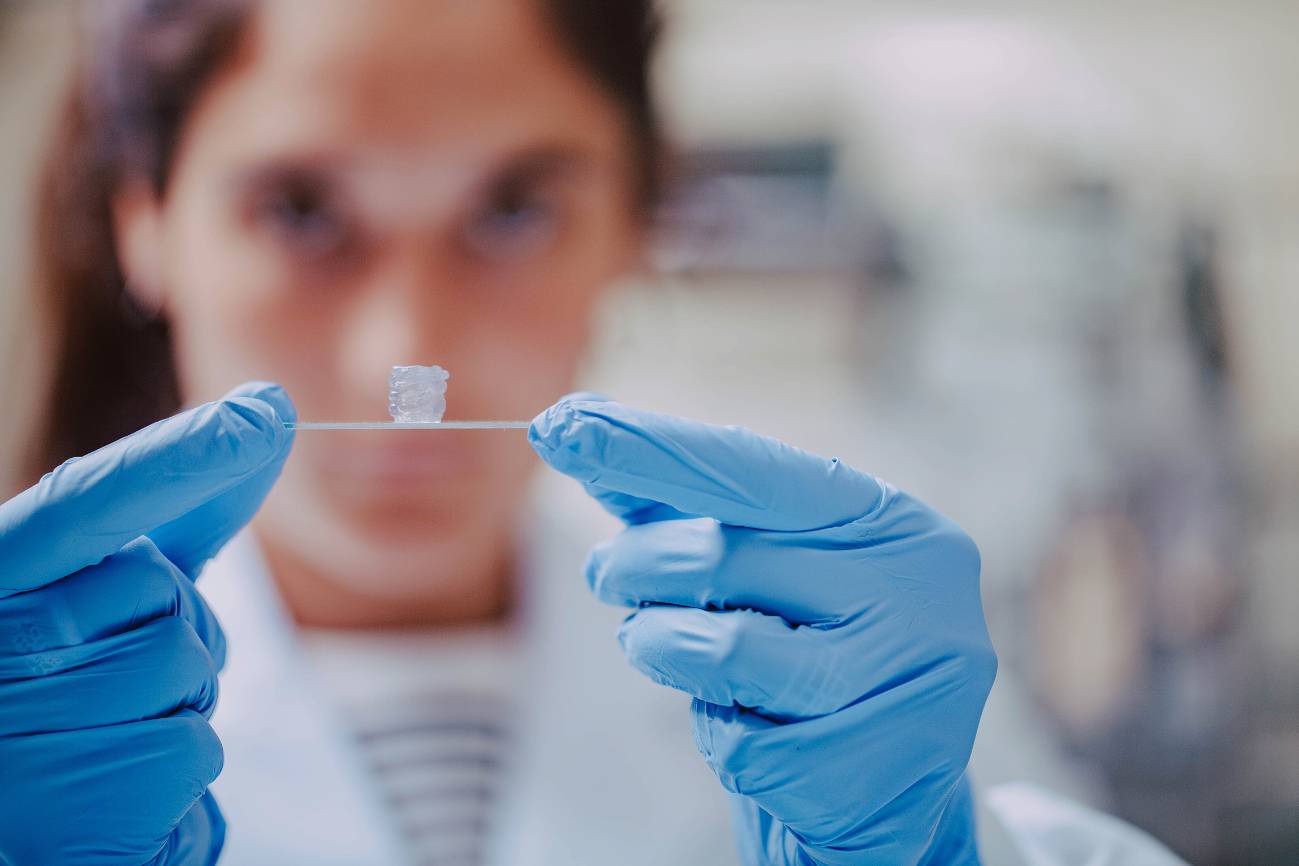Desarrollan vasos sanguíneos bioimpresos que imitan el latido arterial