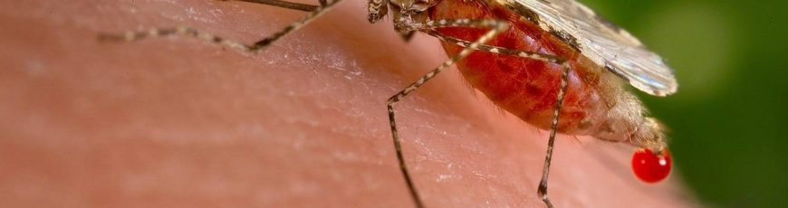 Europa y África se alían para diagnosticar enfermedades desatendidas con IA
