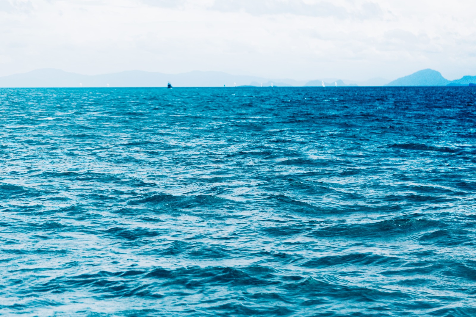 El calentamiento oceánico amenaza a unos microbios esenciales para la fotosíntesis global