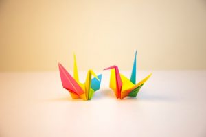 carolina-garcia-tavizon-Ay7Nkvc49ag-unsplash(1)