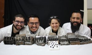 Descubren en el centro de Colombia el fósil del tiburón gigante más completo del mundo