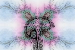 tourette-syndrome-7194133_1280