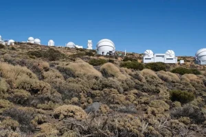 272890xeva20251016222611