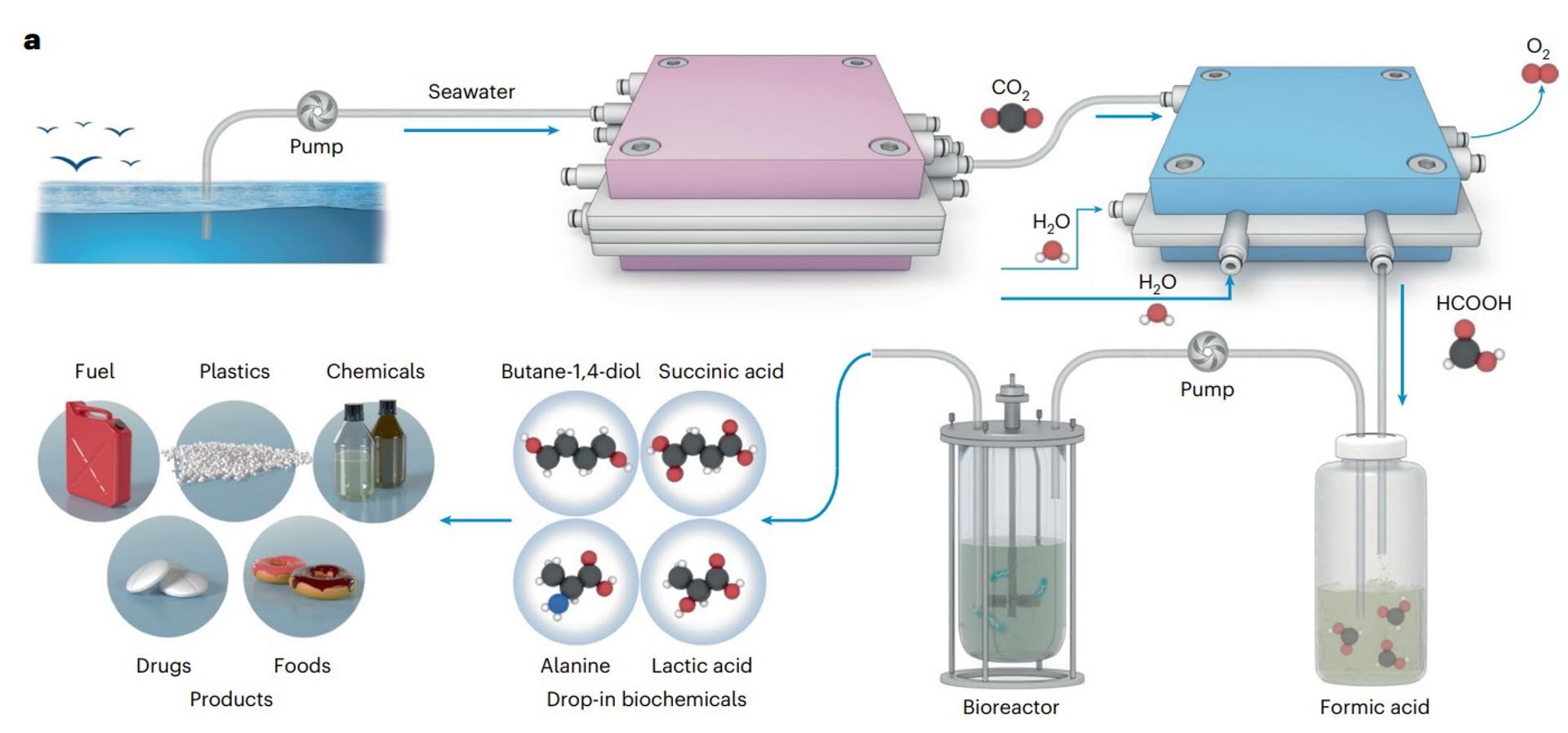 Un sistema captura CO2 y lo convierte en material para hacer plástico biodegradable