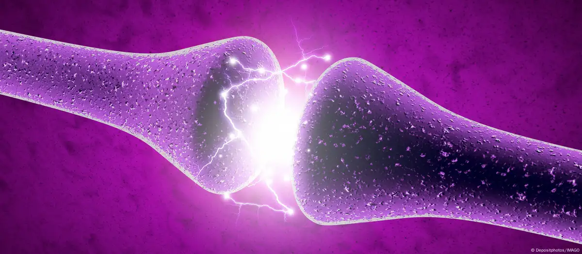 Crean neuronas artificiales que funcionan como las reales