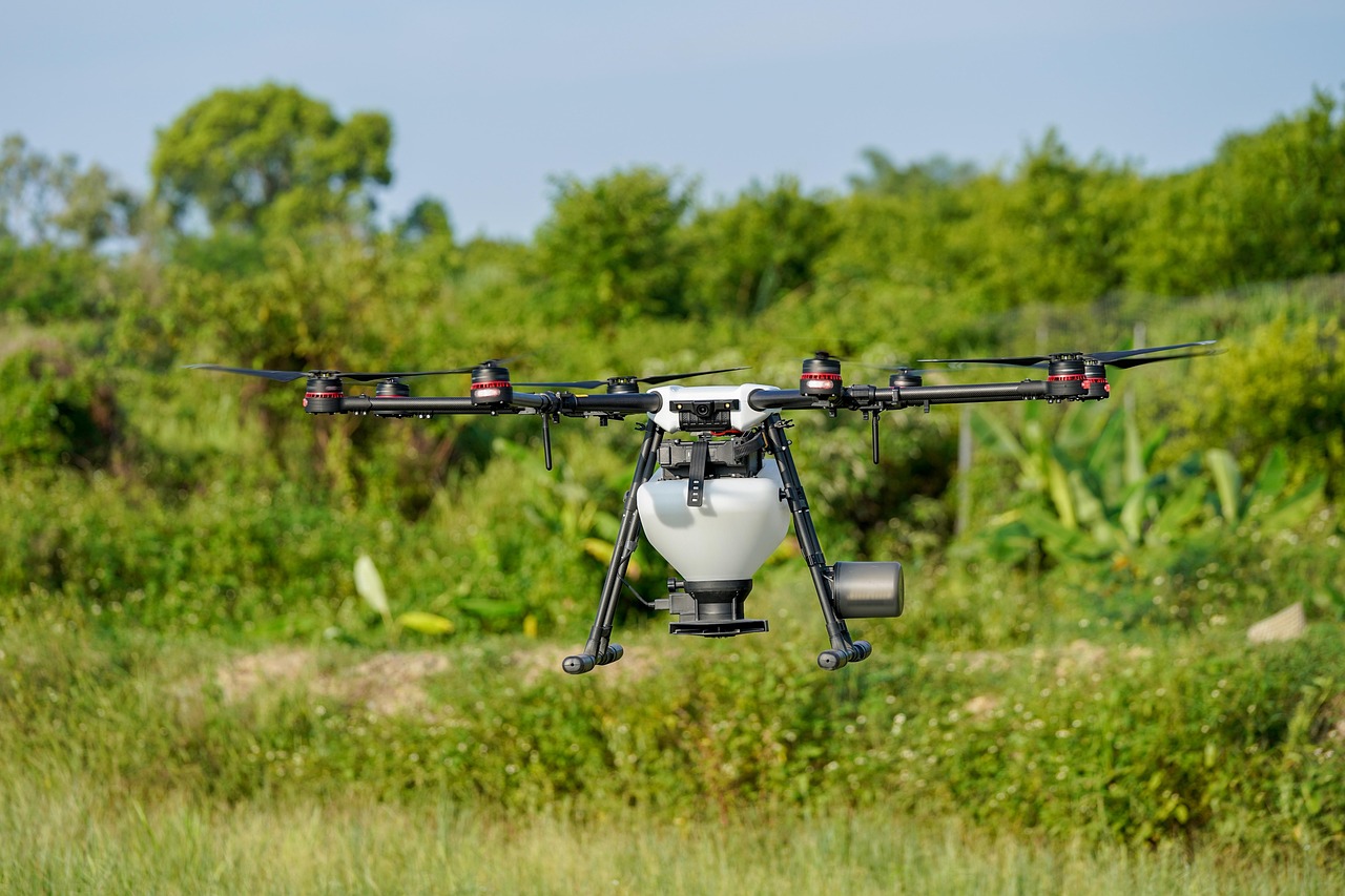Drones en México dispersan semillas para reforestar bosques