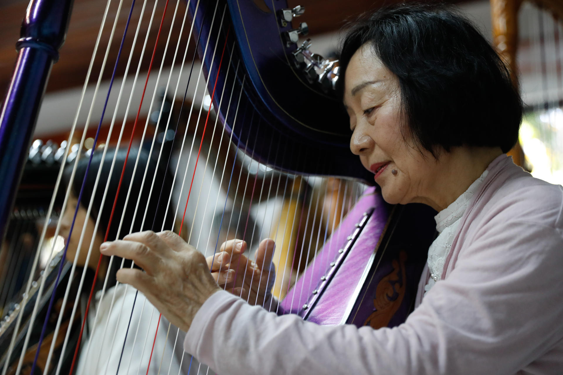 Músicos japoneses rinden homenaje con arpas paraguayas