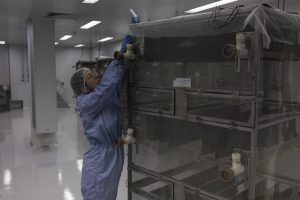 Abre en Brasil la mayor fábrica del mundo de mosquitos para combatir el dengue