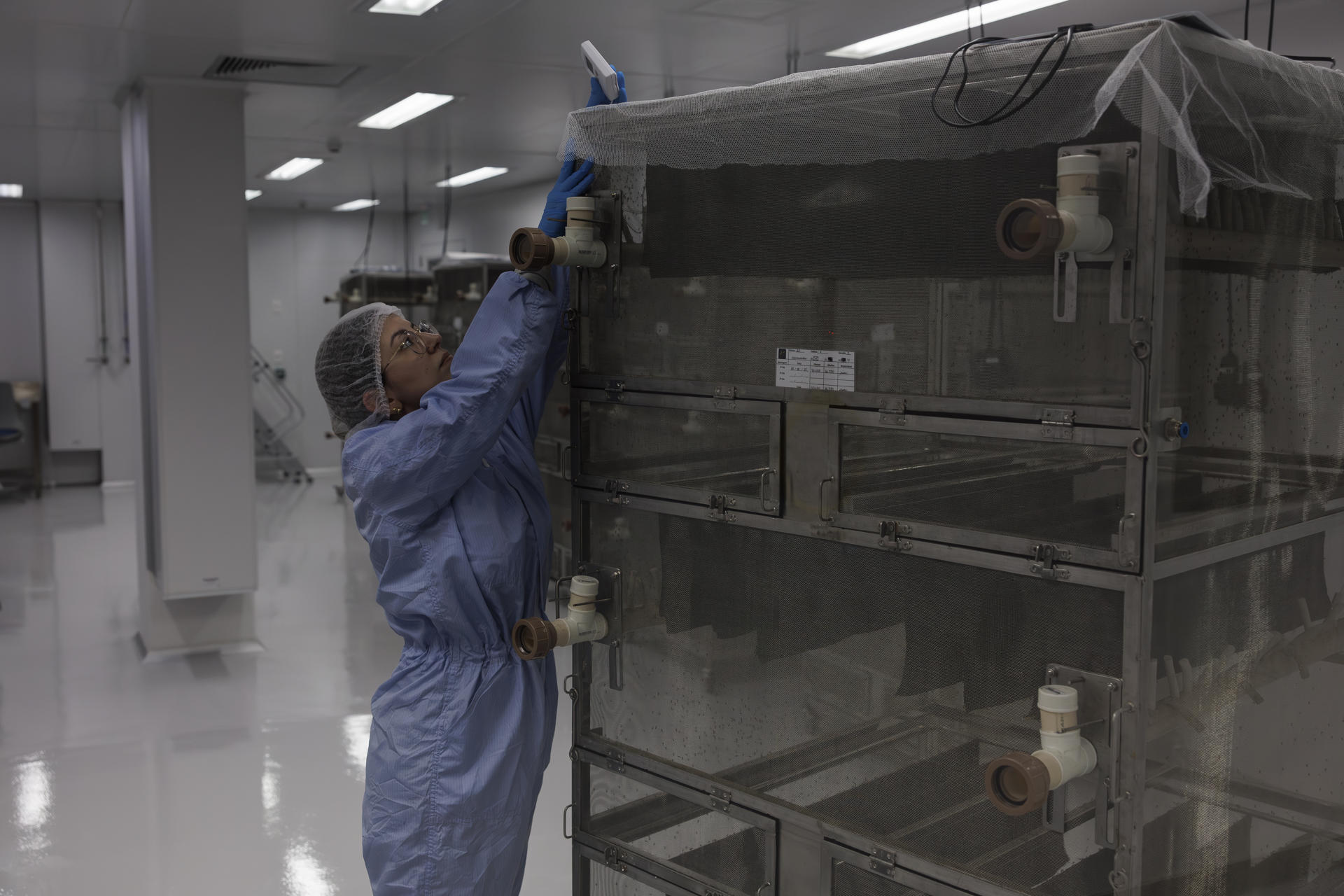 Abre en Brasil la mayor fábrica del mundo de mosquitos para combatir el dengue