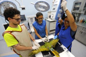 Un zoológico en el oeste de México es refugio de 300 especies, 85% en peligro de extinción