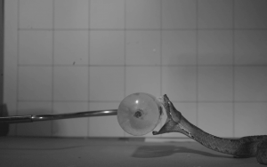 Asi-atacan-las-serpientes-venenosas-visto-por-primera-vez-a-alta-velocidad