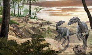 Como-los-dinosaurios-desarrollaron-cuerpos-enormes-y-cuellos-largos