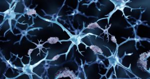 Consiguen-revertir-el-alzheimer-en-ratones-con-el-uso-de-nanoparticulas