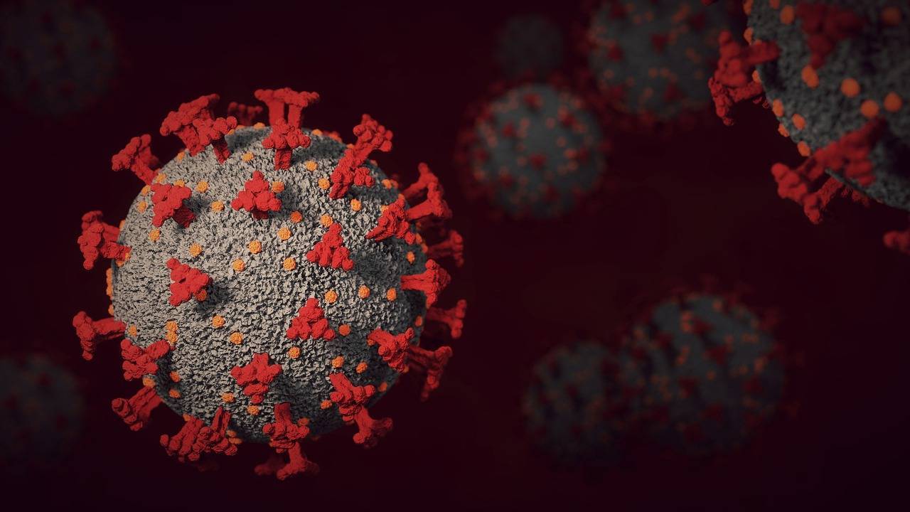 Diseñan nanoanillos de proteínas que detectan y neutralizan el virus SARS-CoV-2