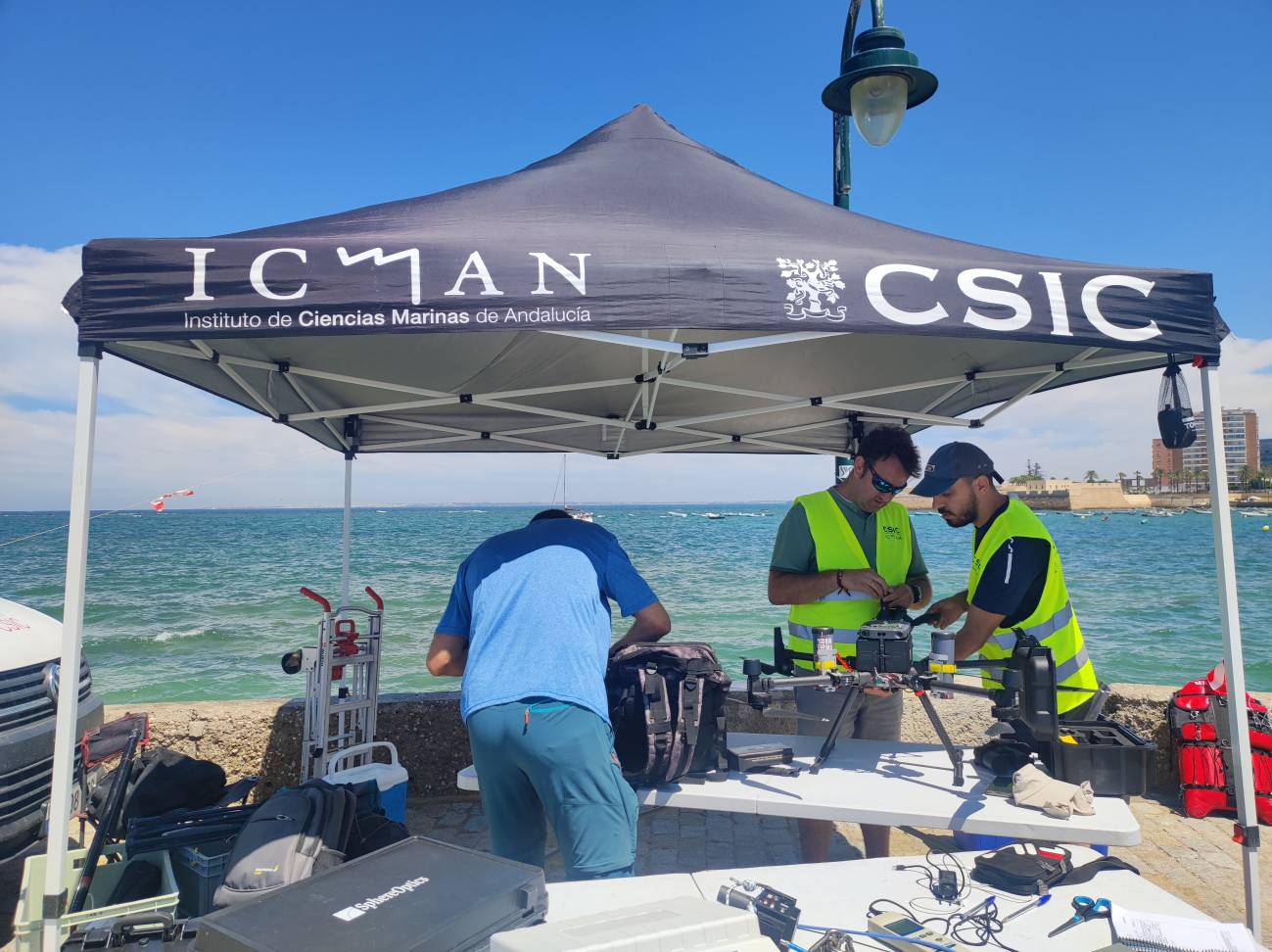 La ciencia se vuelca en frenar el impacto de las cremas solares sobre el mar