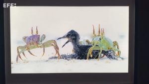 WhatsApp Image 2025-10-15 at 10.40.52 AM