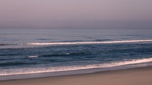 WhatsApp Image 2025-10-24 at 12.32.28 PM