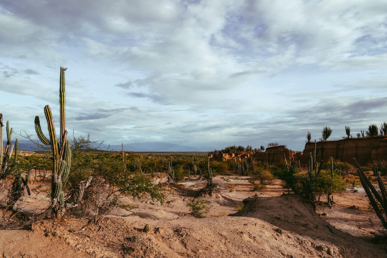 Knowable entrega reconocimiento a Iván Carrillo por visibilizar la crisis ecológica en la frontera México–EE.UU.