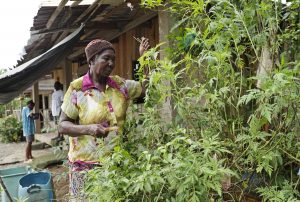 La partería ancestral en Colombia: un «servicio humanitario» frente a la desidia estatal