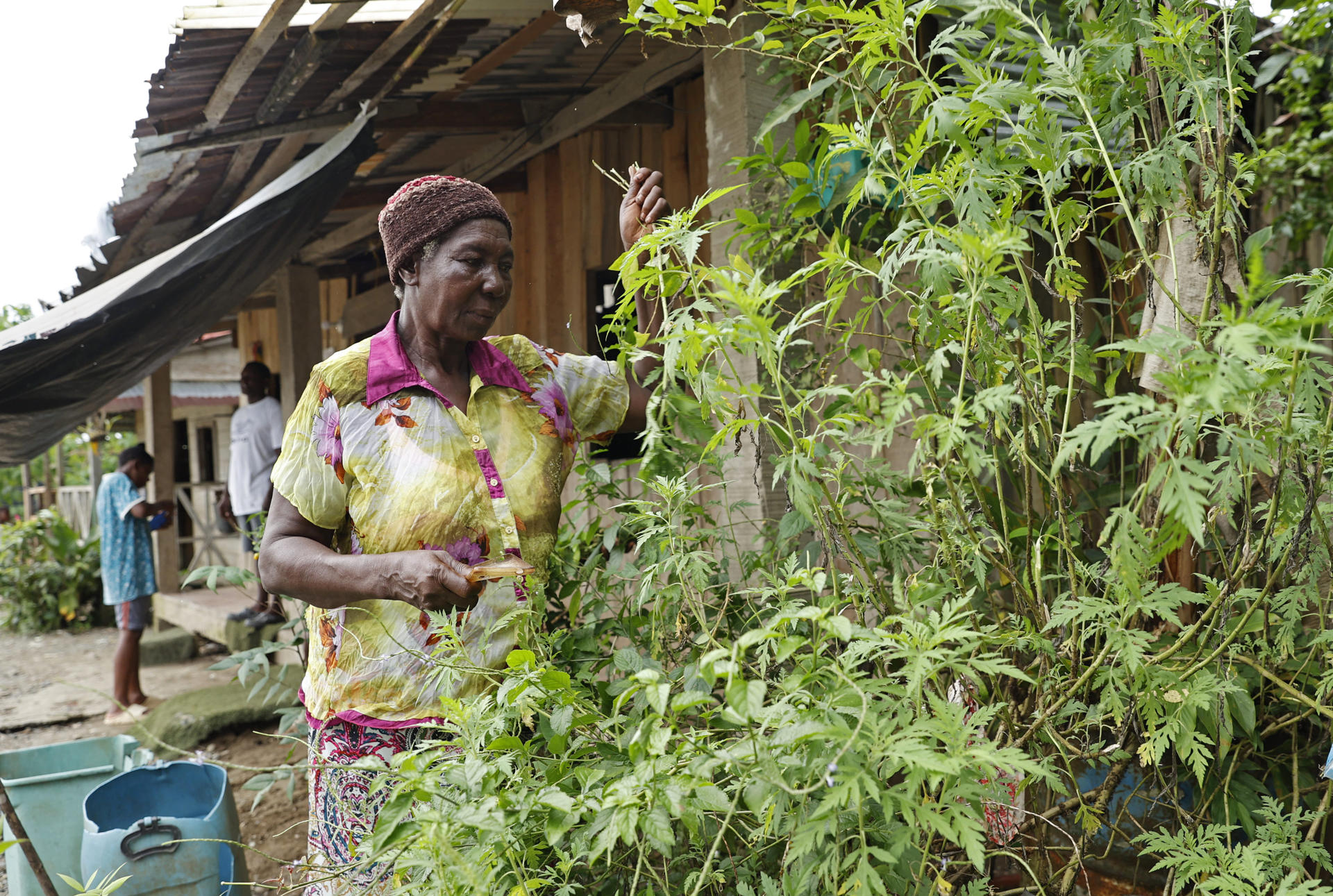 En Colombia pueblos indígenas intercambian saberes en la partería