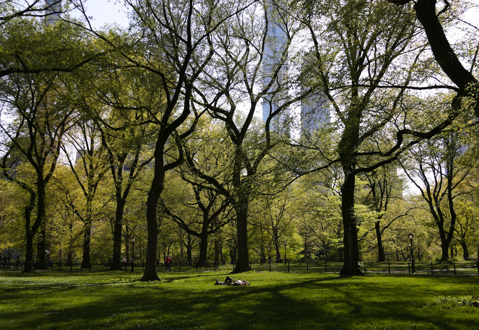 Argentina estudia su fauna urbana para protegerla