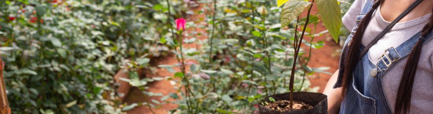 Colombia impulsa turismo sostenible en la región llanera