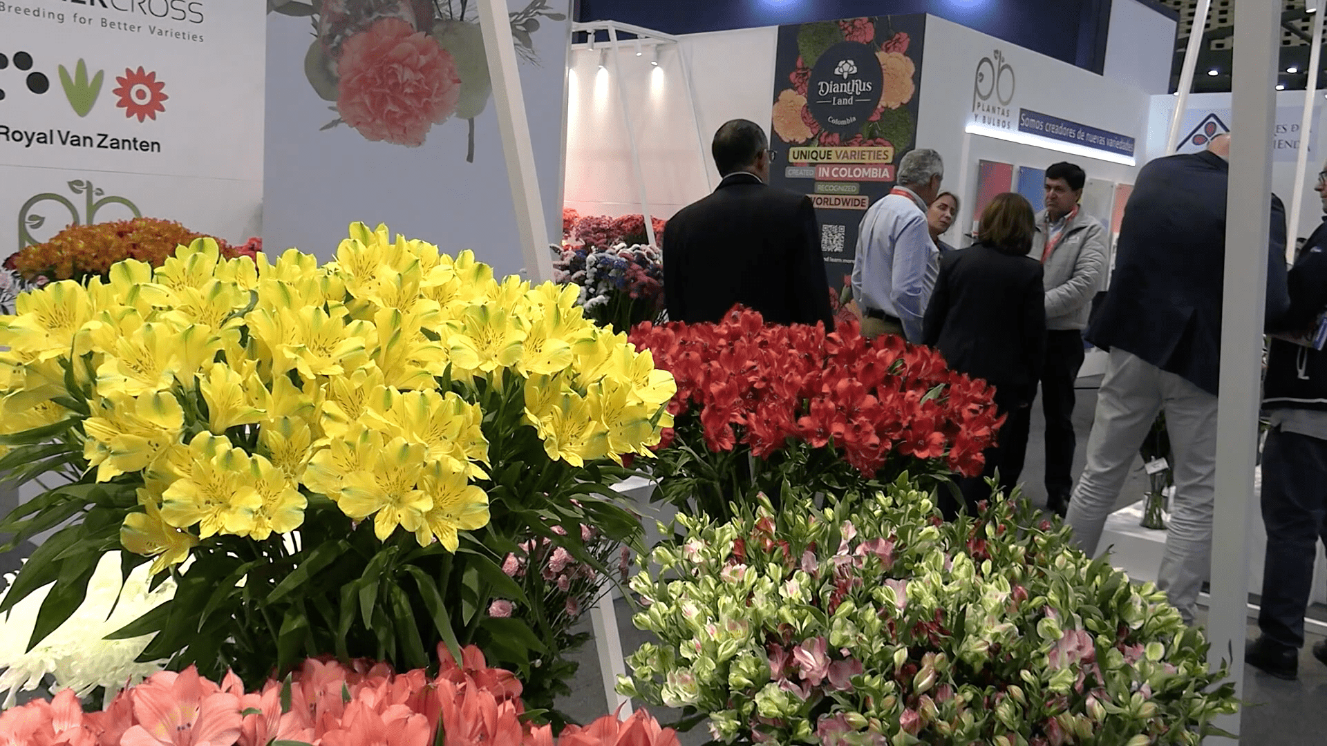Flores colombianas conquistan mercados en la feria Proflora 2025