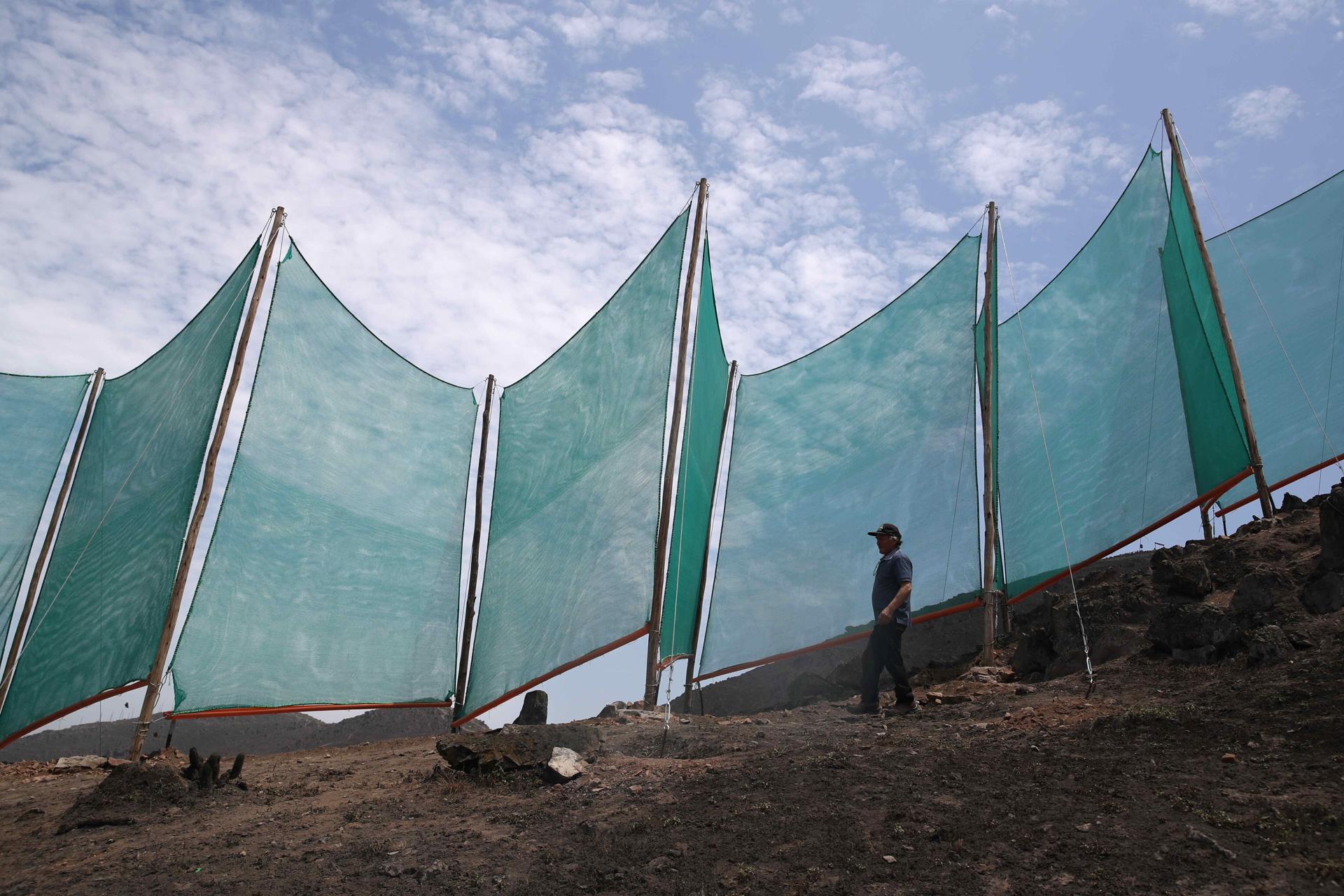 Atrapanieblas en Lima llevan agua a miles de familias