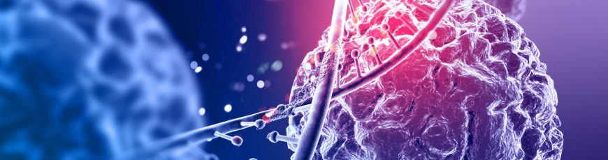 Identifican un fármaco que rejuvenece las células madre sanguíneas