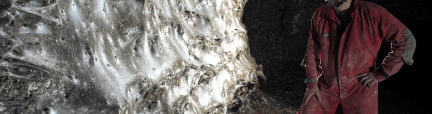 Descubren en una cueva una telaraña con más de 100.000 arañas de dos especies