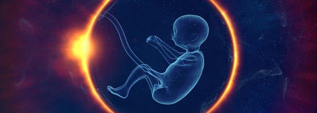 Desaparecen cientos de embriones tras el cierre de una clínica de fertilidad en Bosnia