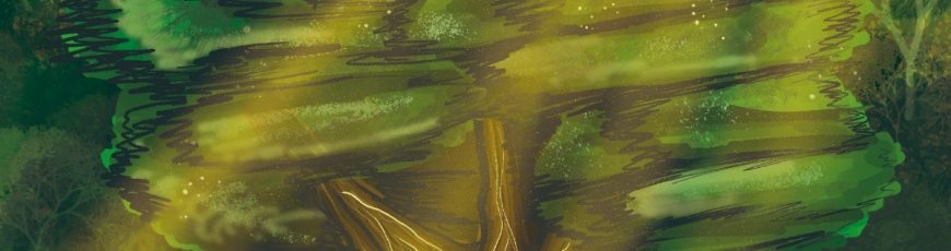 ¿Estudiar o aprender lo ambiental?