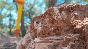 819-2-CIENCIA_Hallazgos neandertales_Captura de pantalla _ SINC-min