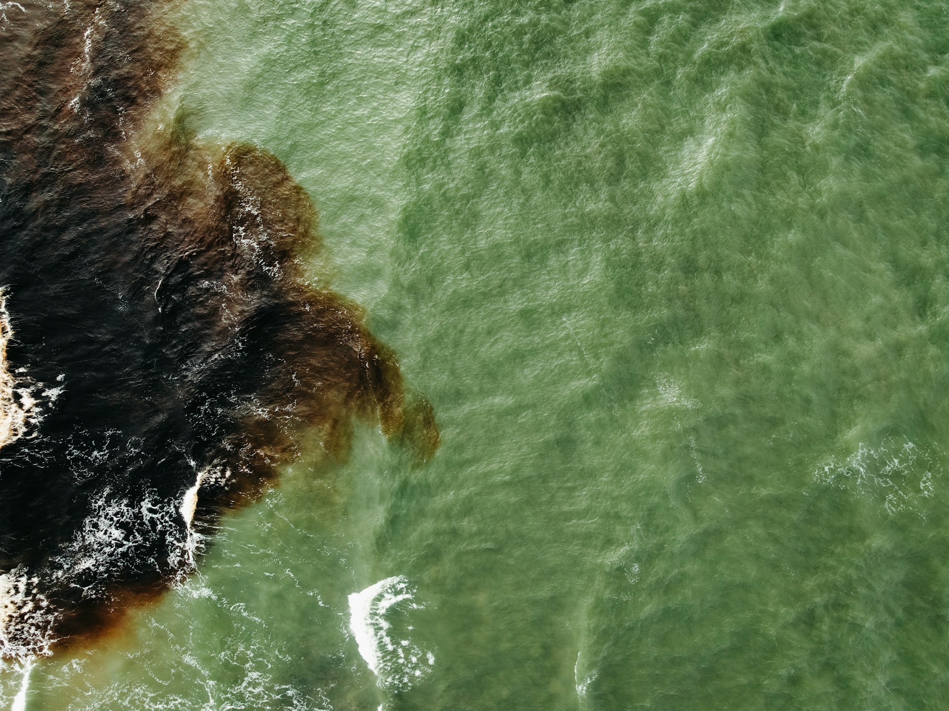 Argentina ordena cerrar pozos petroleros en Parque Calilegua