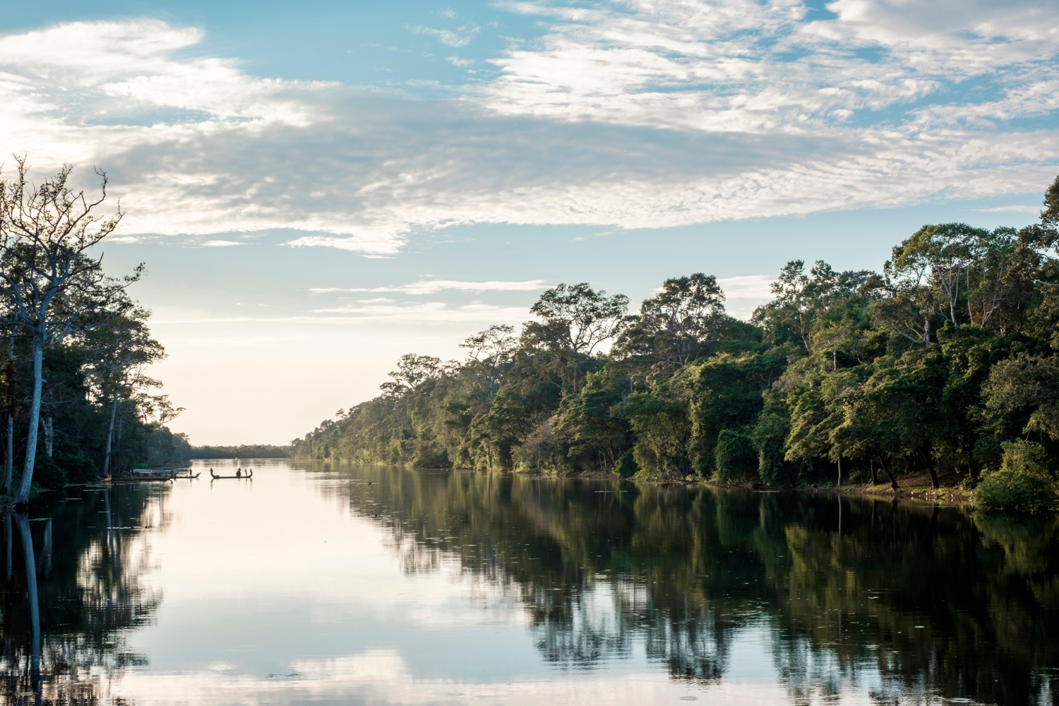 Paneles solares impulsan transición energética sostenible en la Amazonía