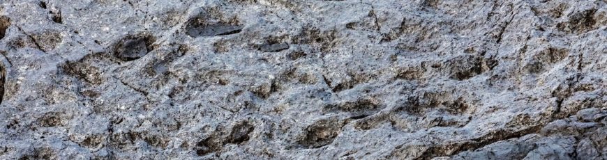 Hallan una inmensa colección de huellas de dinosaurio en Italia