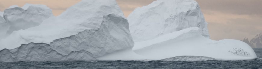 El mundo se acerca al ‘pico de extinción de glaciares’: hasta 4 000 al año podrían desaparecer a mitad de siglo