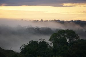 Un nuevo clima hipertropical está surgiendo en la Amazonía