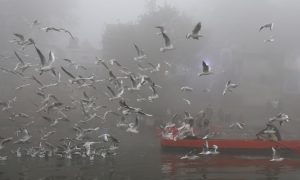 Así funciona el sistema con el que Nueva Delhi veta el repostaje a vehículos contaminantes