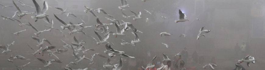 Así funciona el sistema con el que Nueva Delhi veta el repostaje a vehículos contaminantes