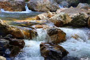 826-4-TECNO_Naturaleza expertos_