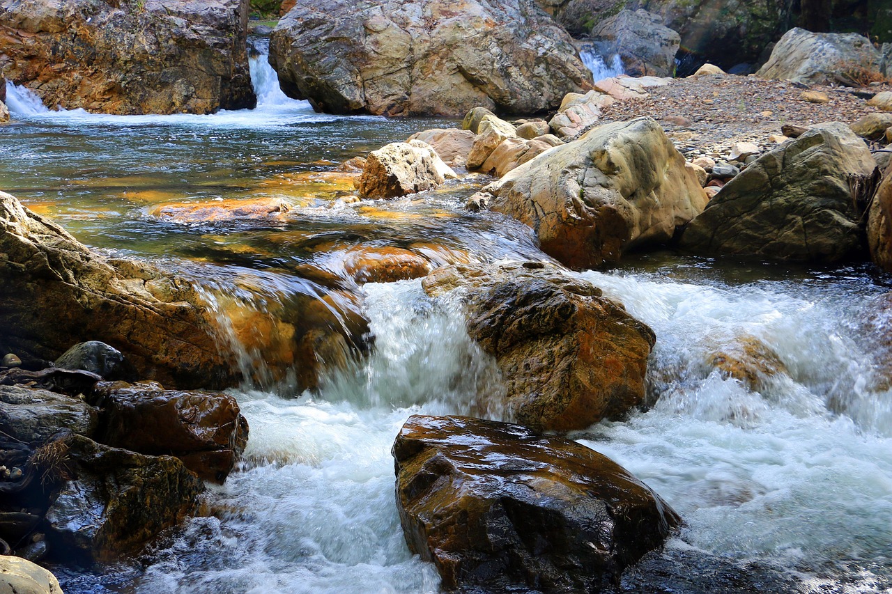 COP30 destaca cómo la naturaleza inspira estructuras más resilientes