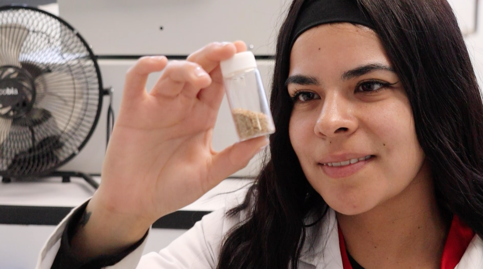 Ciencia mexicana elimina fármacos del agua con desechos