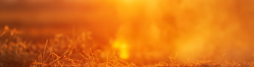 El 2025 fue el cuarto año más caluroso de EEUU desde que hay registros