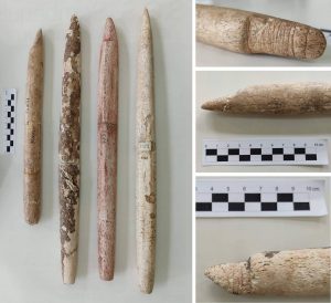 Museu Arqueológico de Sambaqui de Joinville (MASJ), Brasil / La-caza-de-ballenas-comenzo-en-Sudamerica-hace-5-000-anos-un-milenio-antes-de-lo-que-se-creia