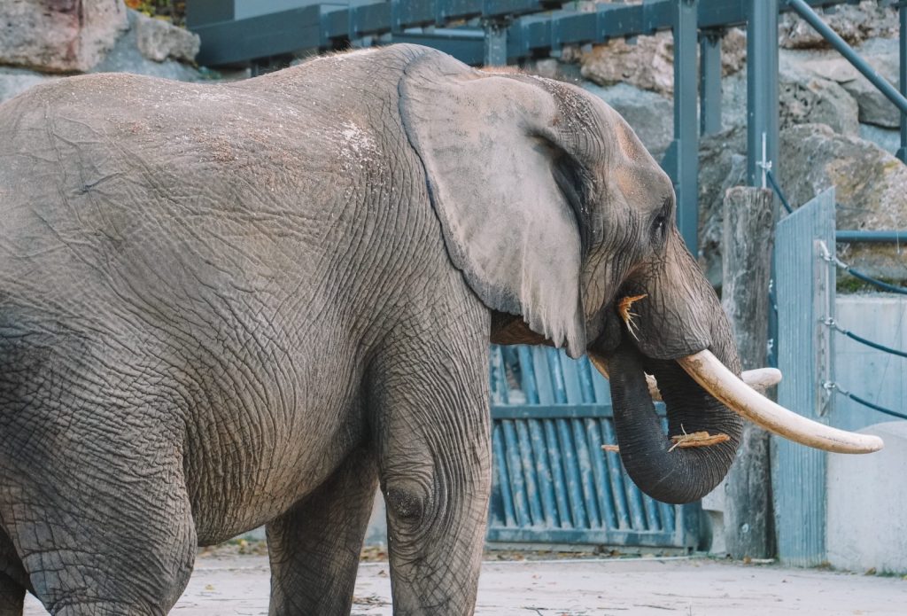 Imagen: Motion Array